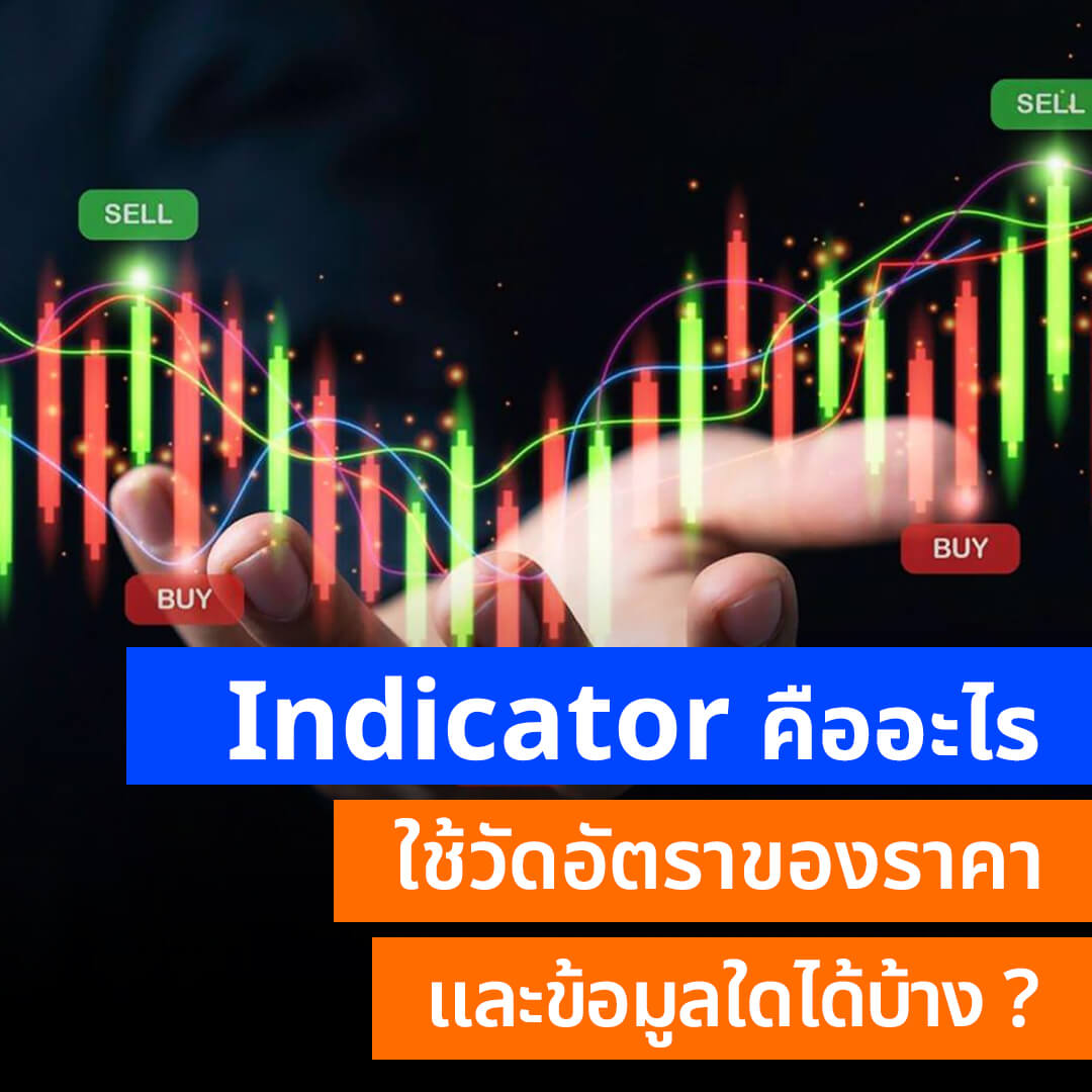 Indicator-%E0%B8%84%E0%B8%B7%E0%B8%AD%E0