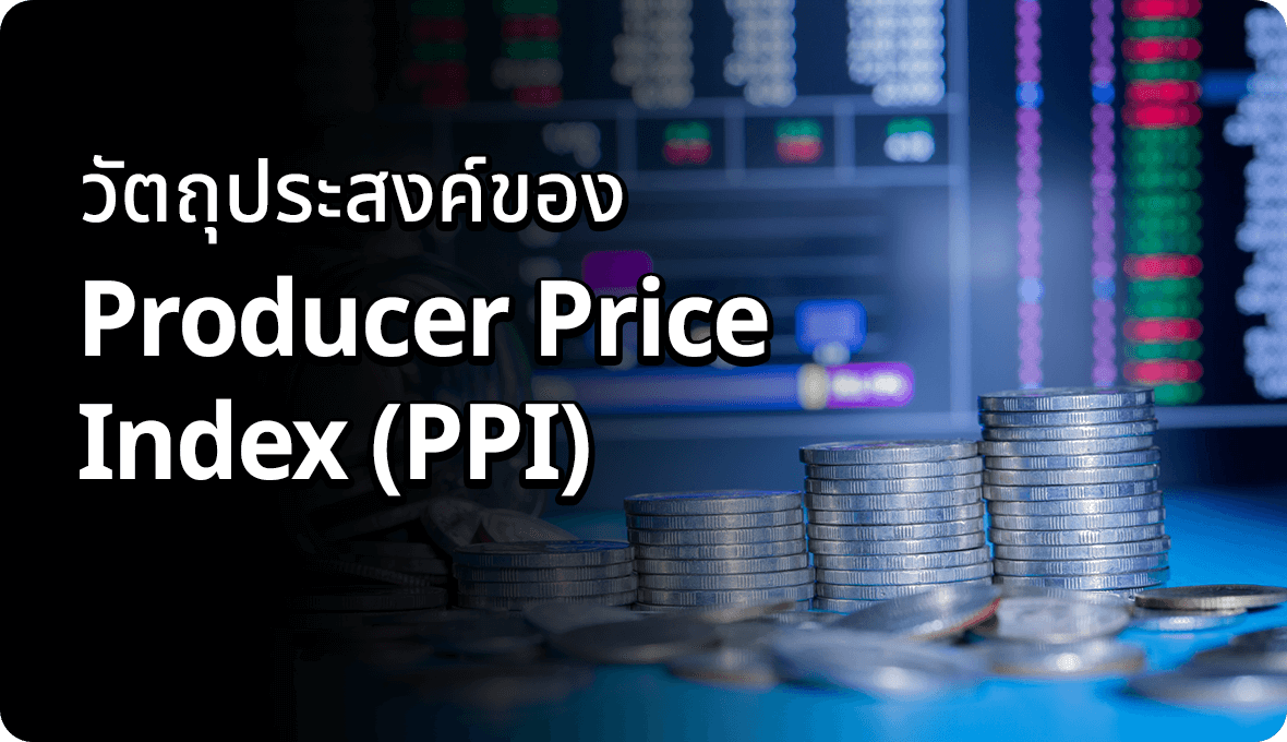 วัตถุประสงค์ของ Producer Price Index